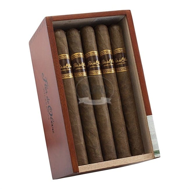 9. oliva flor de oliva gold churchill