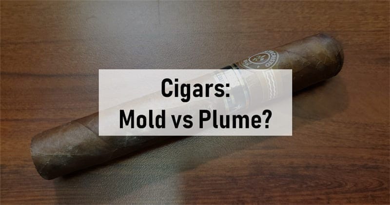 cigar mold vs plume2